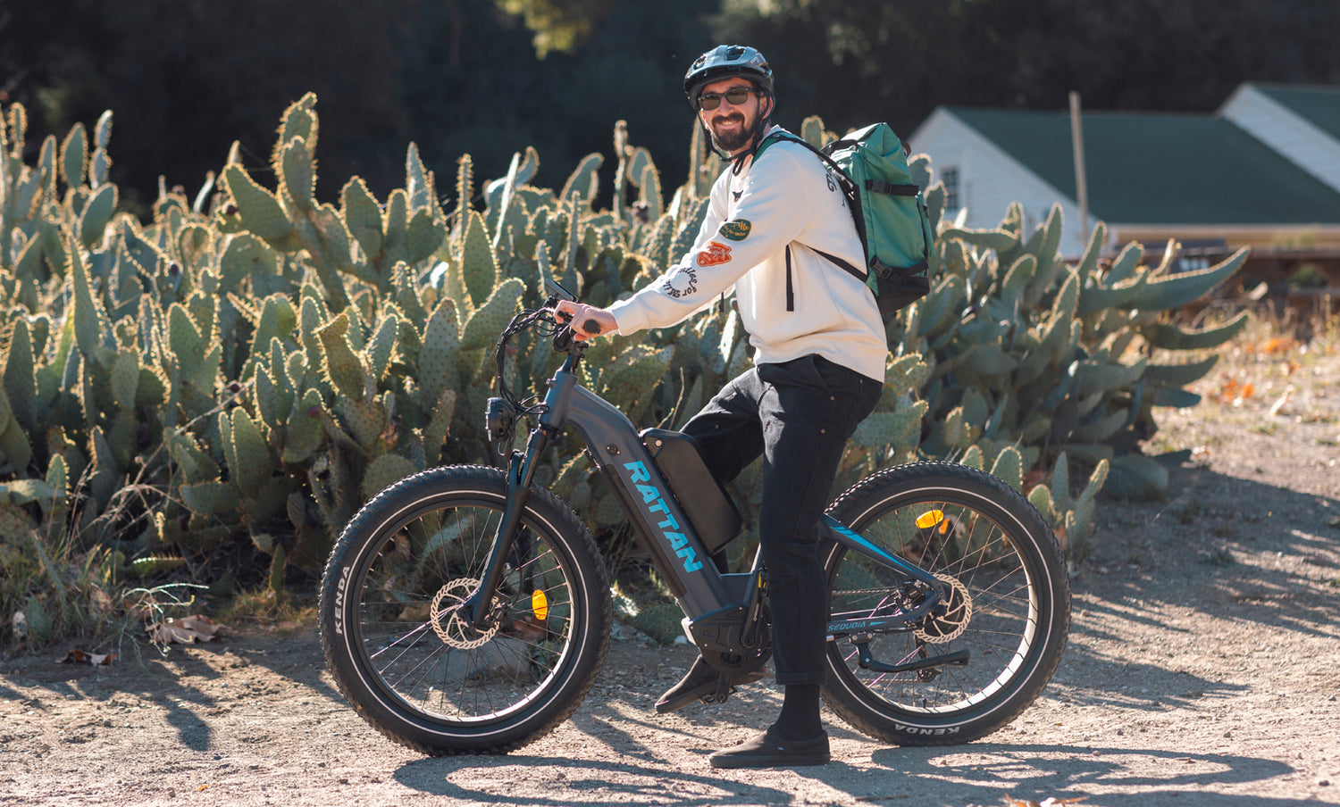The Importance of Classifying eBikes: Exploring the Differences between Folding, Mountain, Cargo, and Cruiser Models