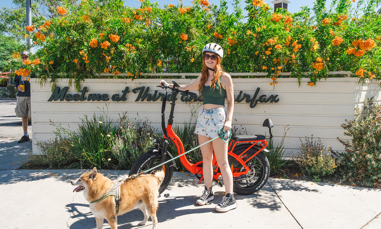 What Is an E-bike and How Do They Work?